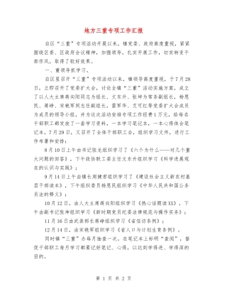 地方三重专项工作汇报