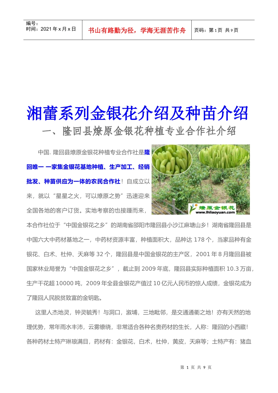 金银花及种苗知识介绍_第1页