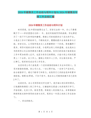2024年销售员工作总结与明年计划与2024年销售员年度工作总结汇编