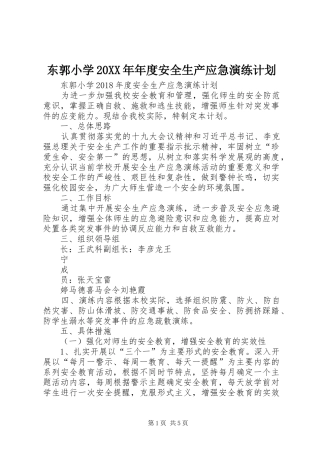 东郭小学20XX年年度安全生产应急演练计划