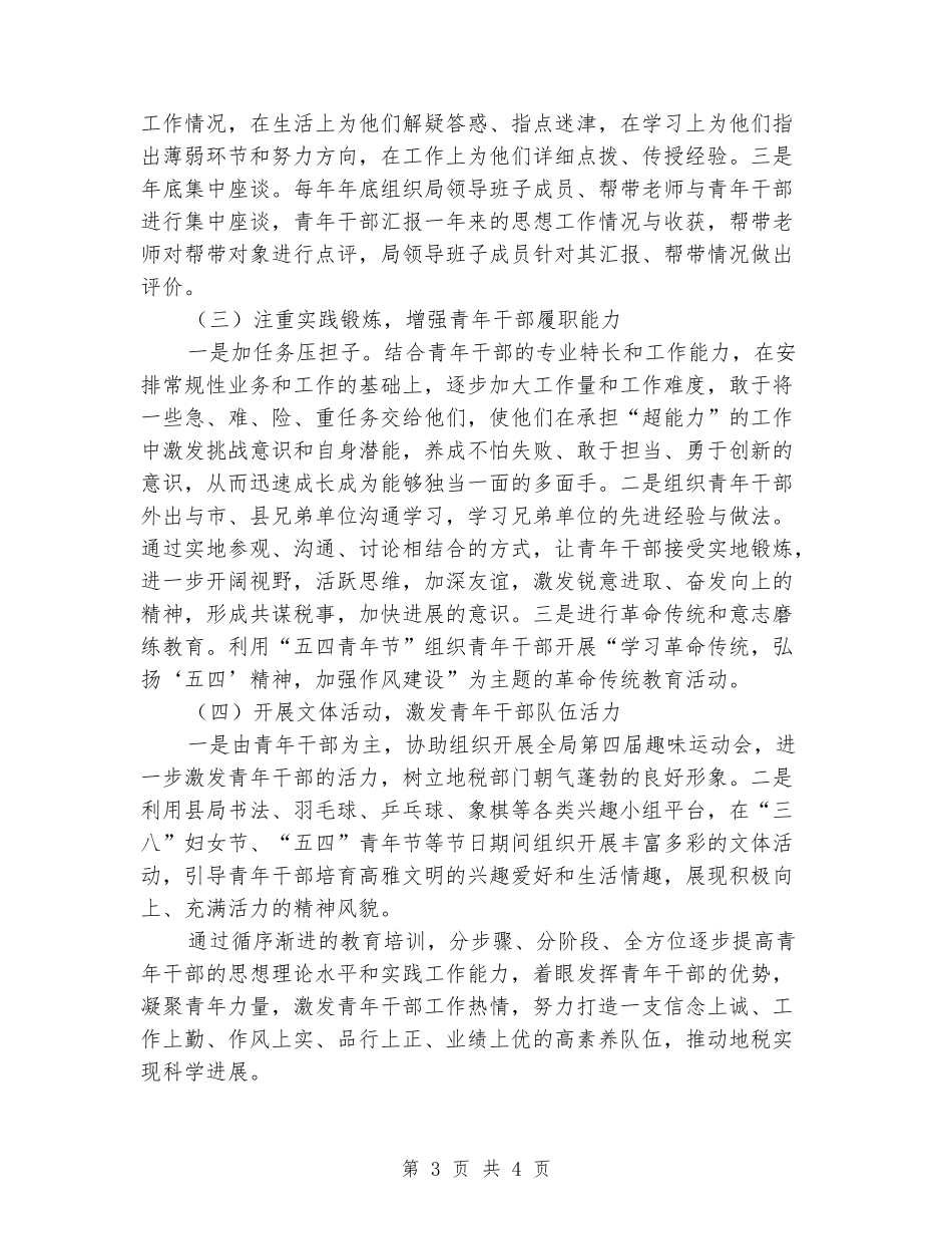 地税局青年干部帮带培养方案_第3页