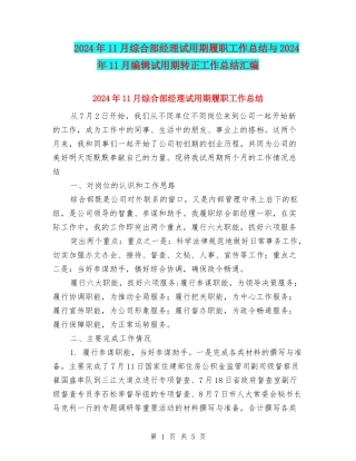 2024年11月综合部经理试用期履职工作总结与2024年11月编辑试用期转正工作总结汇编