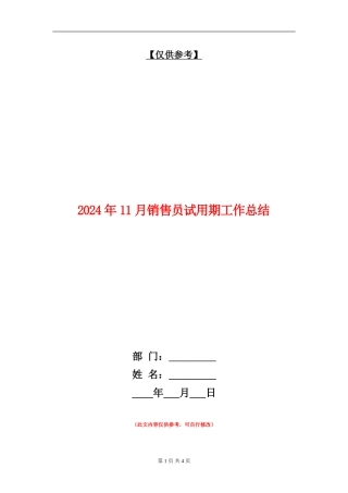 2024年11月销售员试用期工作总结