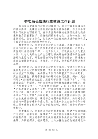 夯实局长依法行政建设工作计划