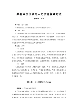 某有限责任公司人力资源规划方法
