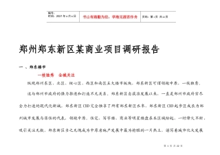 郑州某商业项目调研报告