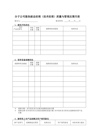 分子公司服务副总经理（技术经理）质量与管理反馈月报