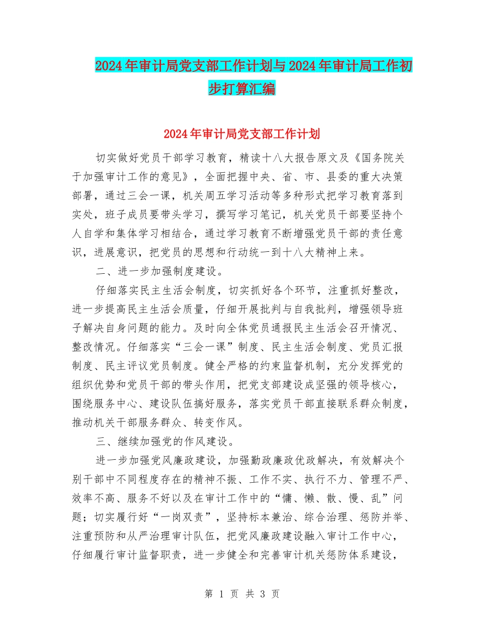 2024年审计局党支部工作计划与2024年审计局工作初步打算汇编_第1页