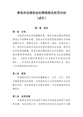 青岛市足球协会纪律准则及处罚办法