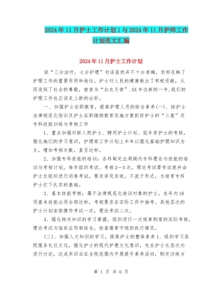 2024年11月护士工作计划1与2024年11月护师工作计划范文汇编