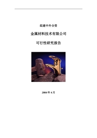 金属材料技术有限公司可行性研究报告(doc 30页)