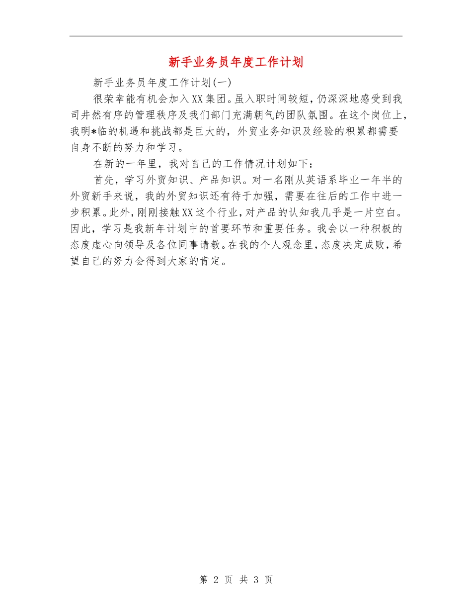 新手业务员年度工作计划_第2页