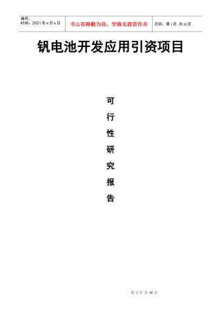 钒电池开发应用引资项目1