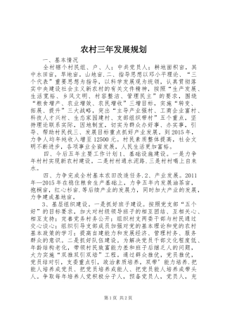 农村三年发展规划