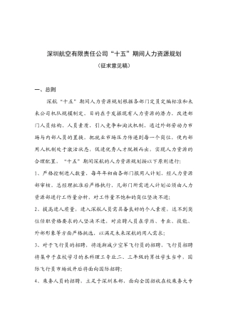 深圳航空有限责任公司人力资源规划