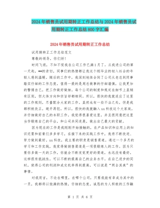 2024年销售员试用期转正工作总结与2024年销售员试用期转正工作总结800字汇编