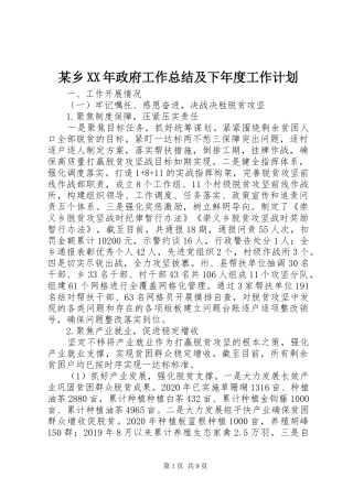某乡XX年政府工作总结及下年度工作计划