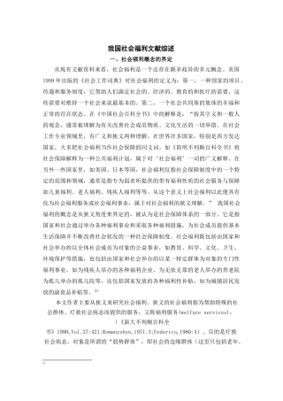 我国社会福利文献综述