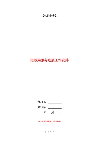 民政局服务发展工作安排