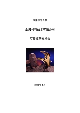 金属材料技术有限公司可行性研究报告