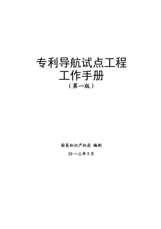 某某专利导航试点工程工作手册