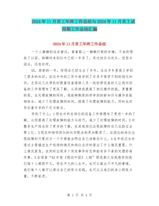 2024年11月员工年终工作总结与2024年11月员工试用期工作总结汇编
