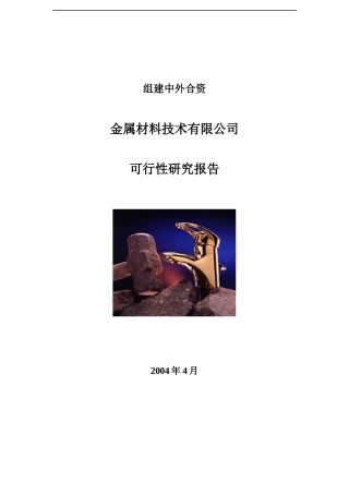 金属材料技术公司可行性研究报告