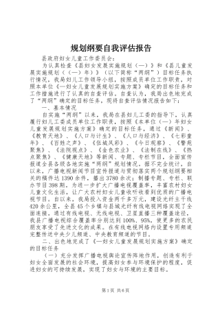 规划纲要自我评估报告