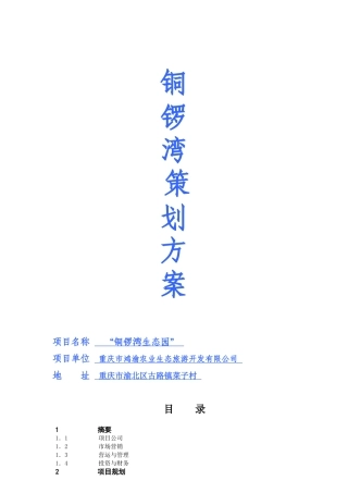 重庆铜锣湾生态园策划方案-39DOC