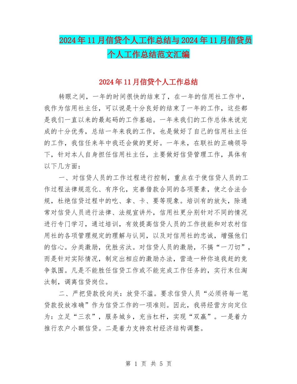 2024年11月信贷个人工作总结与2024年11月信贷员个人工作总结范文汇编_第1页