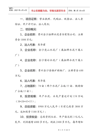 金沙拓牌水泥公司改建项目建议书