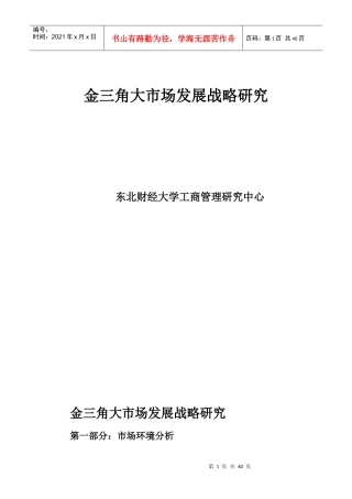 金三角大市场发展研究
