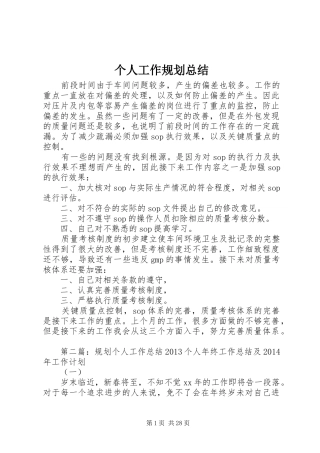 个人工作规划总结