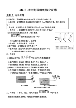 植物对环境刺激之反应