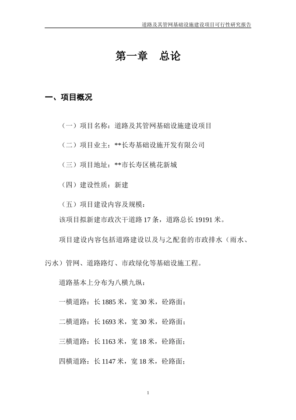 道路及其管网基础设施建设项可行性研究报告_第1页