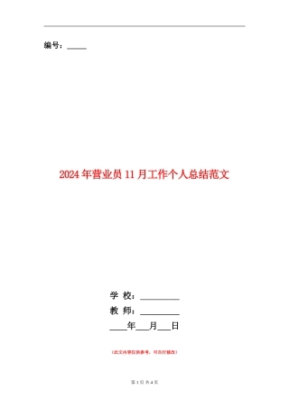 2024年营业员11月工作个人总结范文