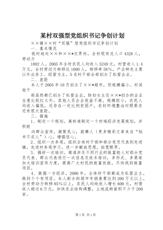 某村双强型党组织书记争创计划
