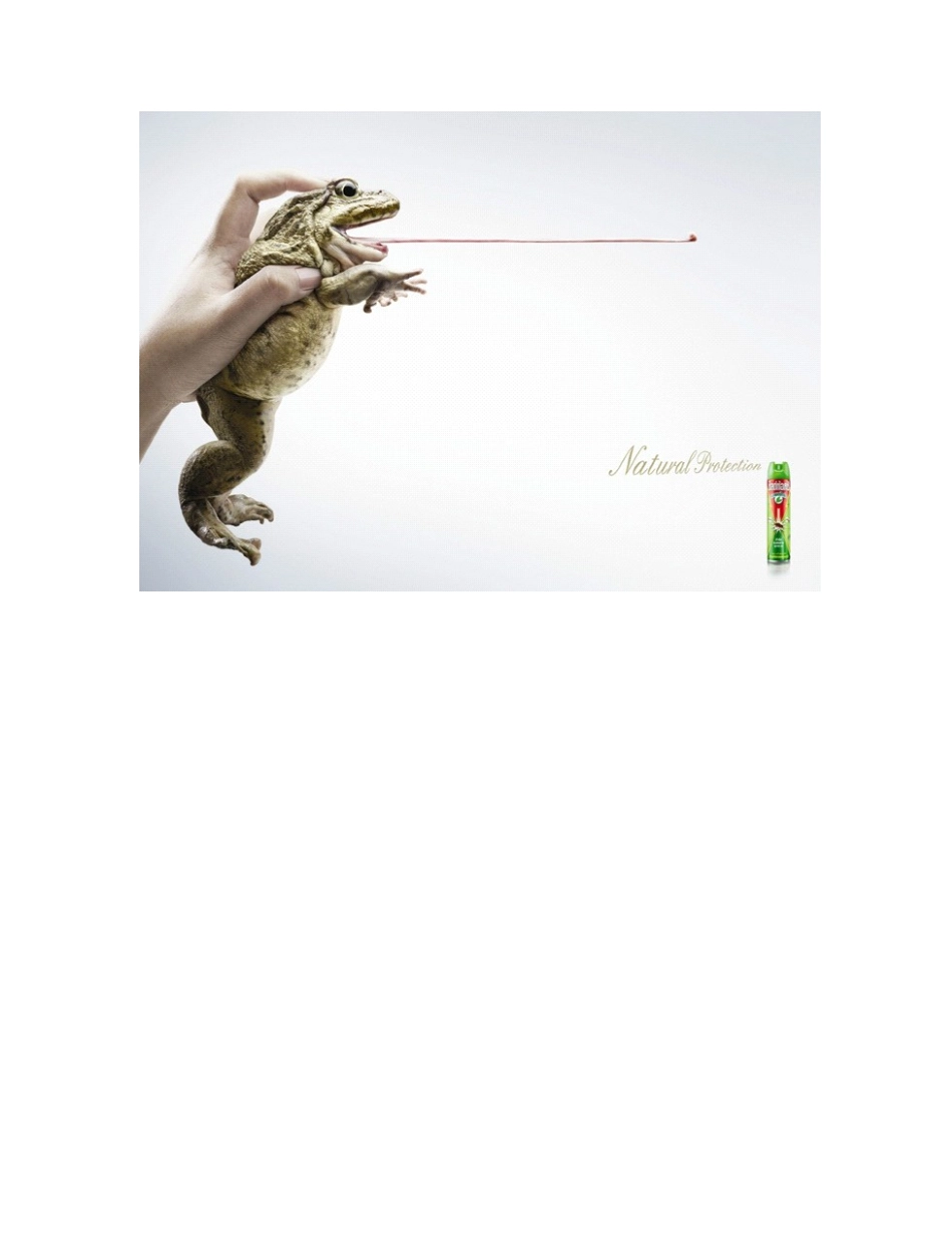 嘎纳国际广告节平面广告设计获奖作品赏析_第2页