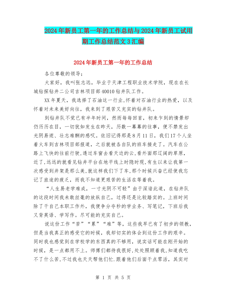 2024年新员工第一年的工作总结与2024年新员工试用期工作总结范文3汇编_第1页