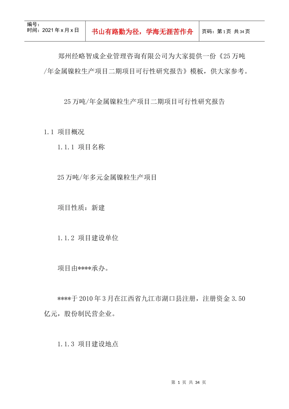 金属镍粒生产项目二期项目可行性研究报告_第1页