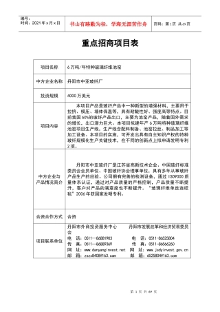 重点招商项目表