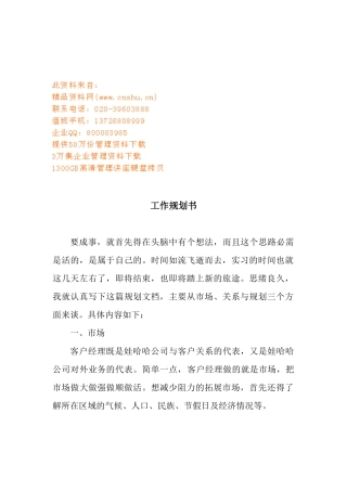 某企业工作规划书