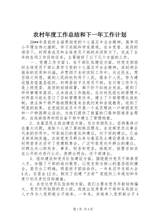 农村年度工作总结和下一年工作计划