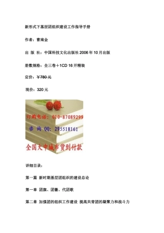 新形式下基层团组织建设工作指导手册