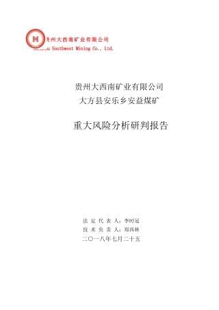 重大风险分析研判报告(终稿)(DOC119页)