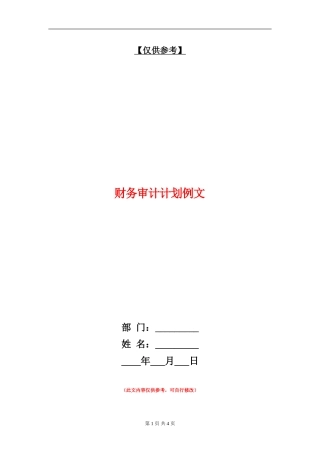 财务审计计划例文
