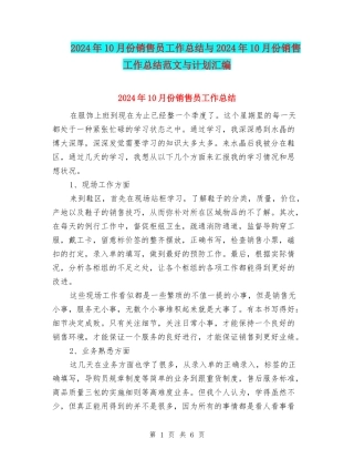 2024年10月份销售员工作总结与2024年10月份销售工作总结范文与计划汇编