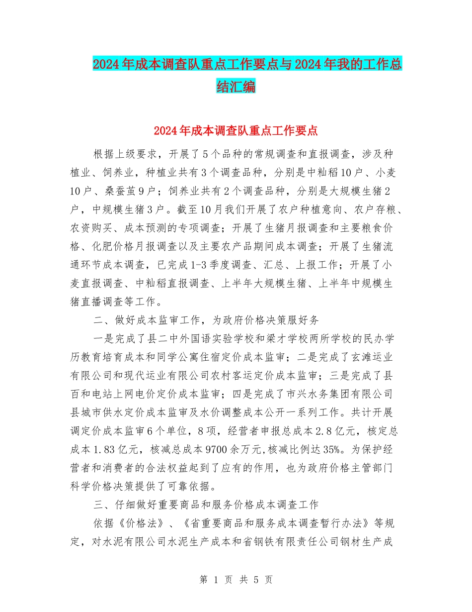 2024年成本调查队重点工作要点与2024年我的工作总结汇编_第1页