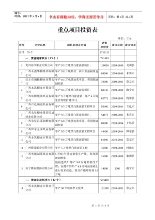 重点项目投资表