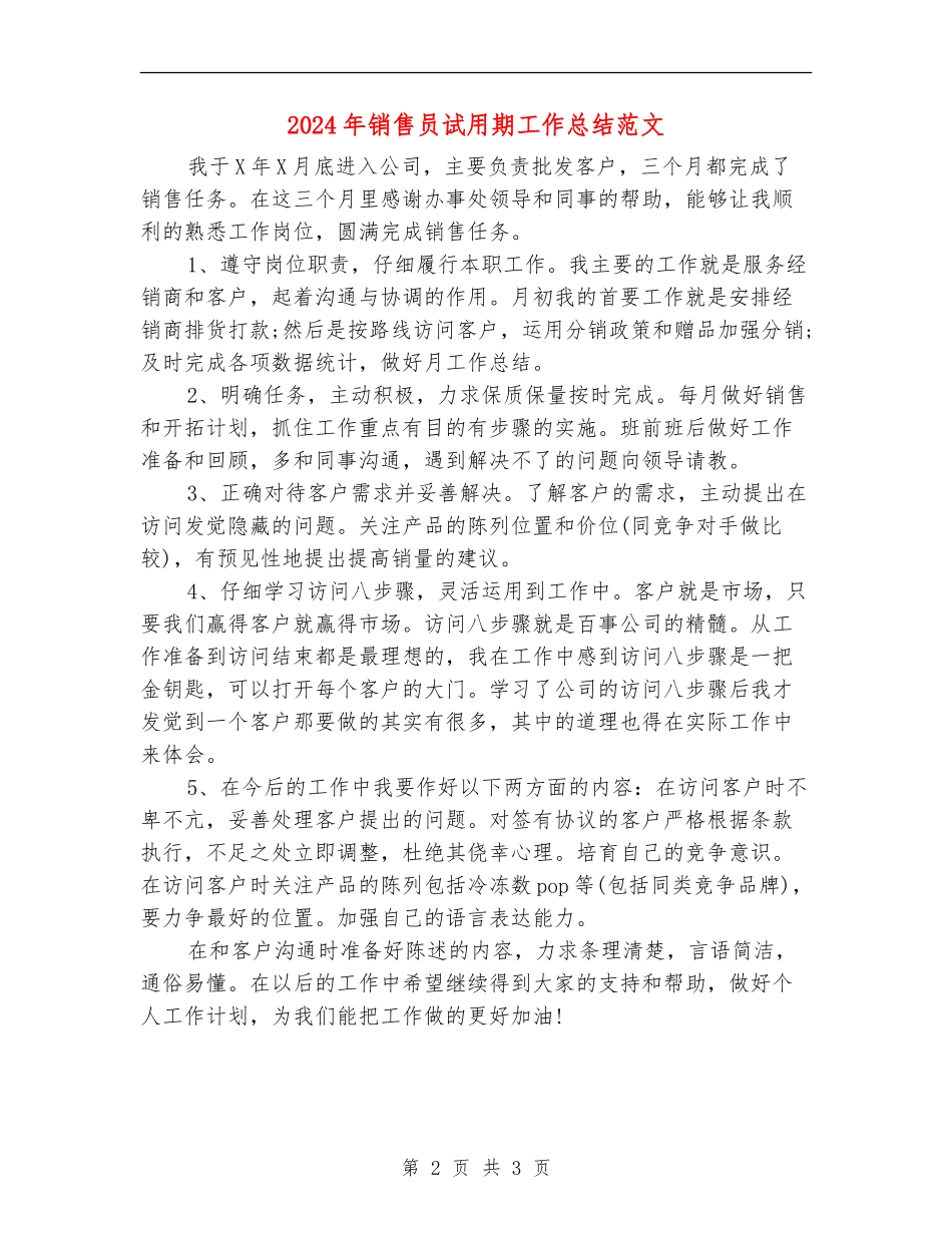 2024年销售员试用期工作总结范文_第2页